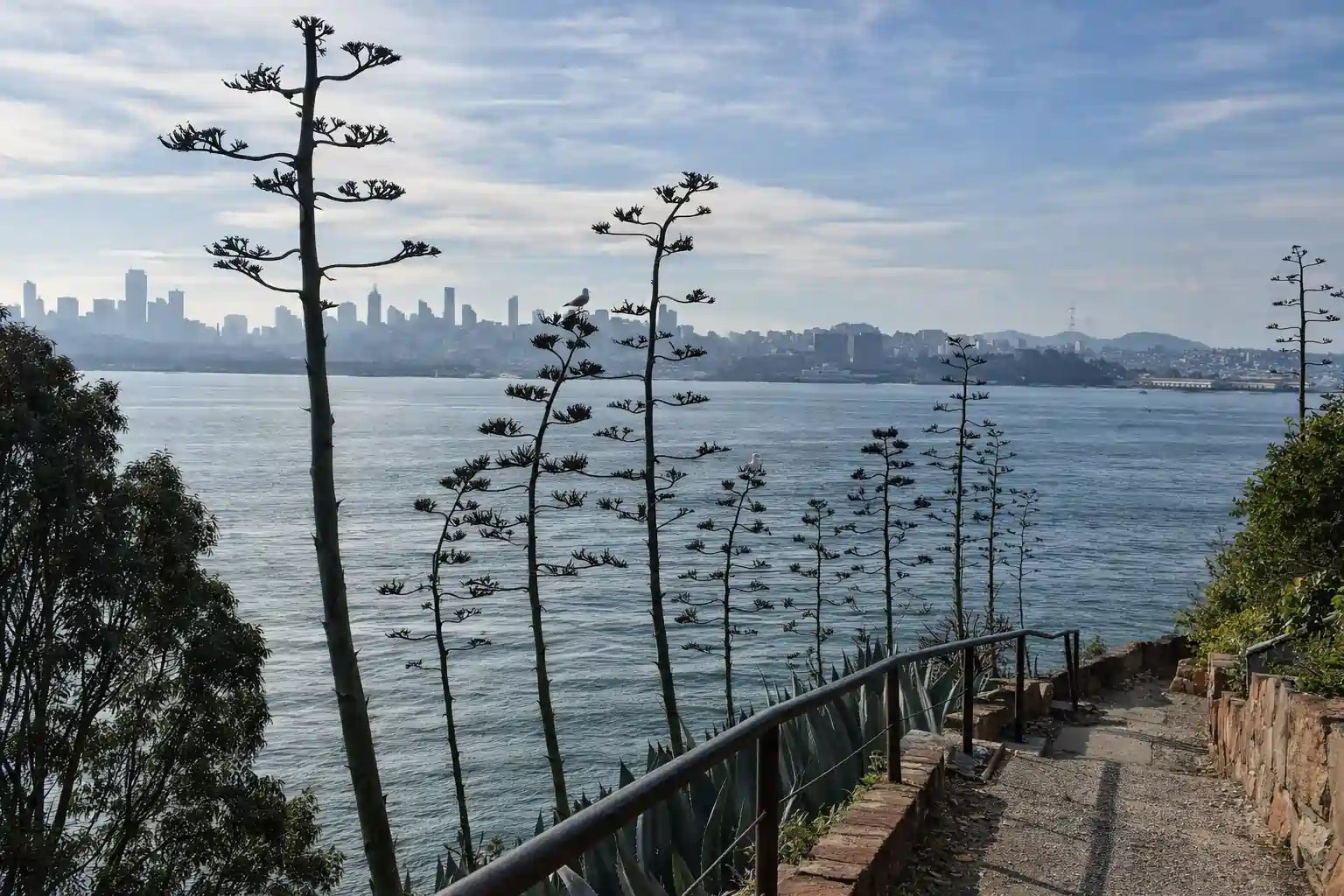 The Agave Trail on Alcatraz: What You Need to Know Before Booking