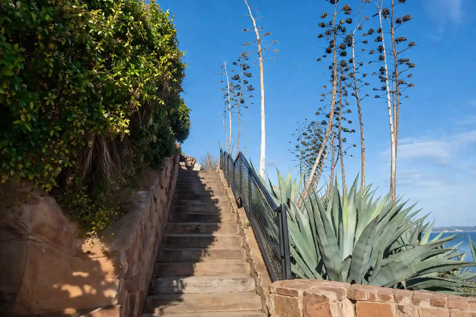 agave trail fit in your visit flow