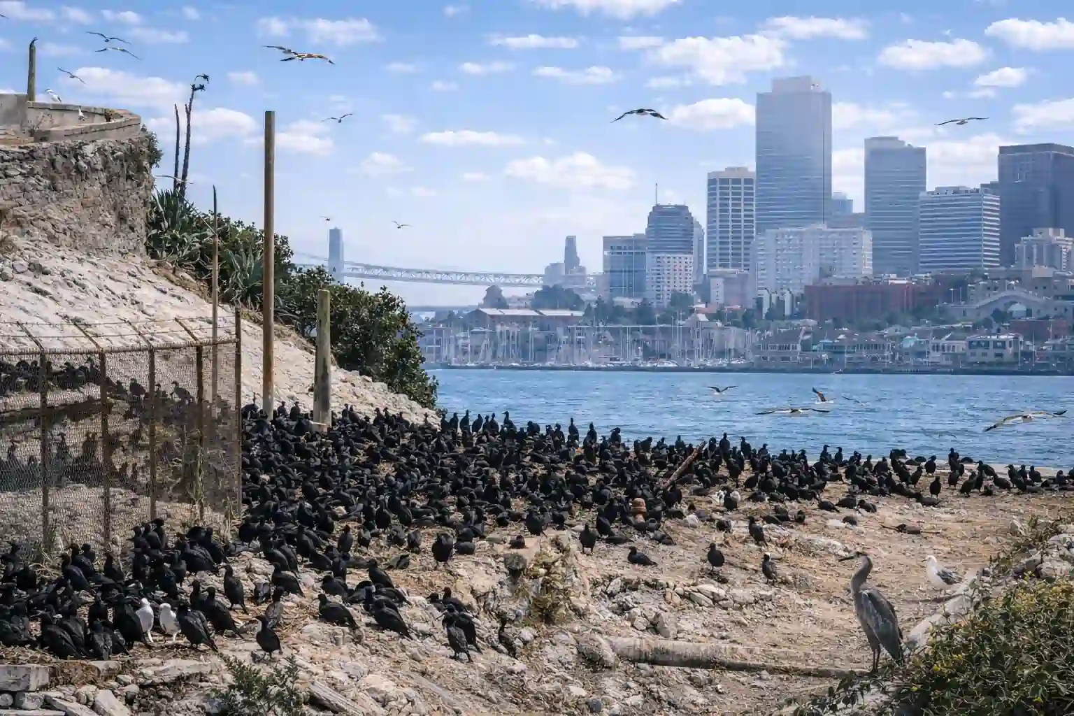 best time of year to see the colony