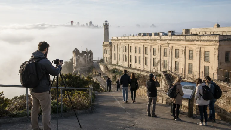 fog as a compositional tool