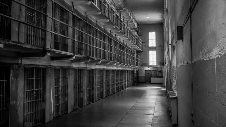 how to experience this story during your visit