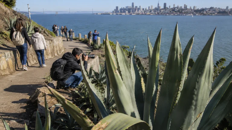 the agave trail changes the visual style