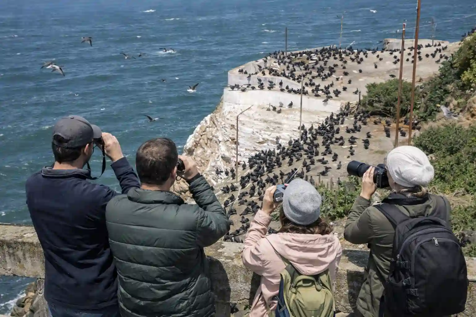 when to plan birdwatching into your ticket